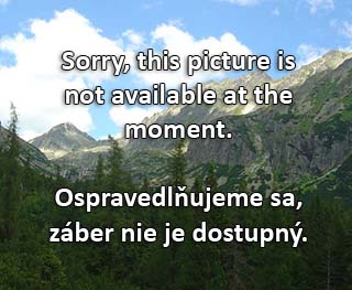 webkamera - Nízké Tatry - Jasná (Zahrádky)